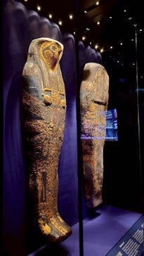 ACN ラムセス大王展 ファラオたちの黄金に投稿された画像（2025/12/29）