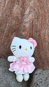 ハーモニーランドに投稿された画像（2025/12/29）