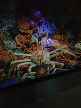 竹島水族館に投稿された画像（2025/12/29）