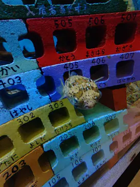 竹島水族館に投稿された画像（2025/12/29）