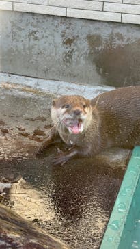 下田海中水族館に投稿された画像（2025/12/29）