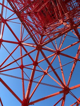 東京タワーに投稿された画像（2025/12/29）