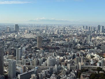 東京タワーに投稿された画像（2025/12/29）