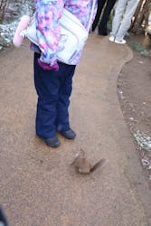 那須どうぶつ王国に投稿された画像（2025/12/29）