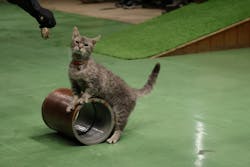 那須どうぶつ王国に投稿された画像（2025/12/29）