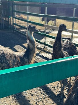 掛川花鳥園に投稿された画像（2025/12/29）