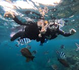 沖縄マリンサービス碧に投稿された画像（2025/12/29）