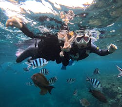 沖縄マリンサービス碧に投稿された画像（2025/12/29）