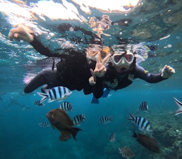 沖縄マリンサービス碧に投稿された画像（2025/12/29）