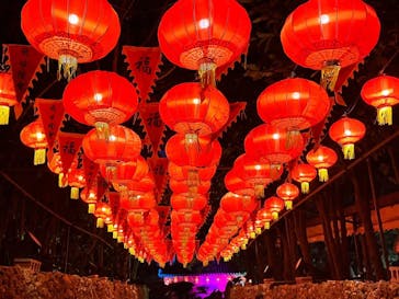 体験王国 むら咲むらに投稿された画像（2025/12/29）