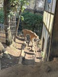 恩賜上野動物園に投稿された画像（2025/12/29）