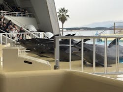 マリンワールド海の中道に投稿された画像（2025/12/29）