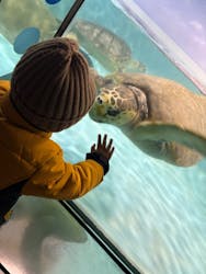 マリンワールド海の中道に投稿された画像（2025/12/29）