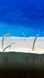 大分マリーンパレス水族館 「うみたまご」に投稿された画像（2025/12/29）