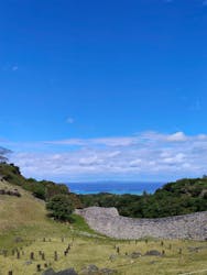 今帰仁城跡に投稿された画像（2025/12/29）