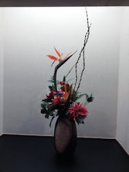 東京豊洲 万葉倶楽部に投稿された画像（2025/12/29）