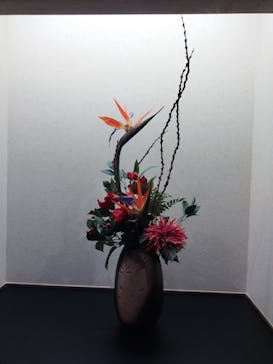 東京豊洲 万葉倶楽部に投稿された画像（2025/12/29）