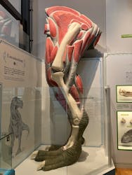 福井県立恐竜博物館に投稿された画像（2025/12/29）