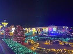 神戸イルミナージュに投稿された画像（2025/12/29）