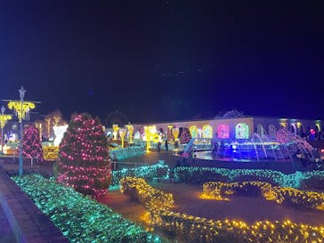 神戸イルミナージュに投稿された画像（2025/12/29）