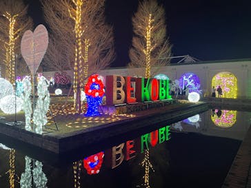 神戸イルミナージュに投稿された画像（2025/12/29）