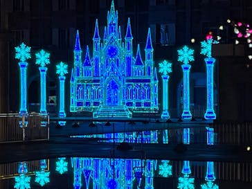 神戸イルミナージュに投稿された画像（2025/12/29）