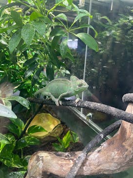 広島もとまち水族館に投稿された画像（2025/12/29）