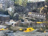 伊豆シャボテン動物公園に投稿された画像（2025/12/29）