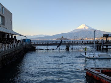 あわしまマリンパークに投稿された画像（2025/12/29）