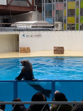 伊豆・三津シーパラダイスに投稿された画像（2025/12/29）