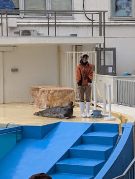 伊豆・三津シーパラダイスに投稿された画像（2025/12/29）