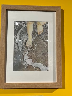 プレバト才能アリ展　新潟会場に投稿された画像（2025/12/29）