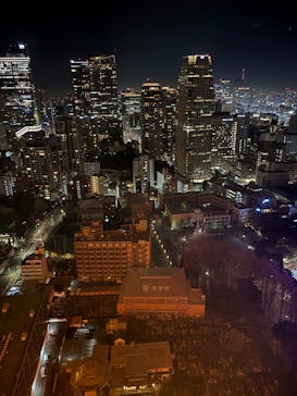 東京タワーに投稿された画像（2025/12/29）