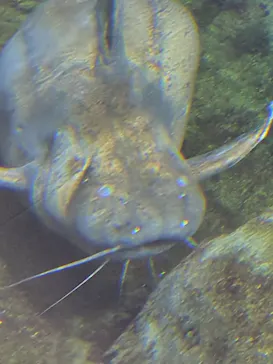仙台うみの杜水族館に投稿された画像（2025/12/29）