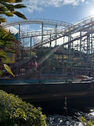 ひらかたパークに投稿された画像（2025/12/29）