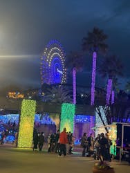 ひらかたパークに投稿された画像（2025/12/29）