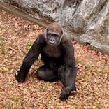 千葉市動物公園に投稿された画像（2025/12/29）