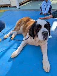 つくばわんわんランドに投稿された画像（2025/12/29）