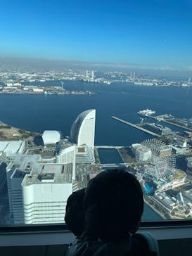 横浜ランドマークタワー 69階展望フロア スカイガーデンに投稿された画像（2025/12/29）