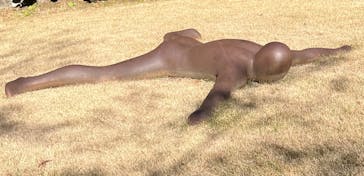 彫刻の森美術館に投稿された画像（2025/12/29）