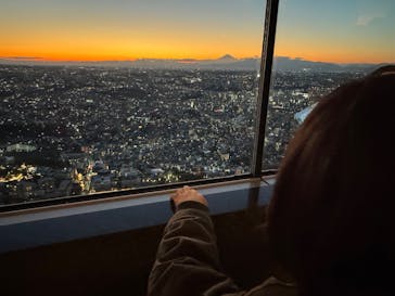 横浜ランドマークタワー 69階展望フロア スカイガーデンに投稿された画像（2025/12/29）