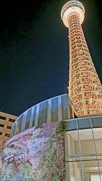 横浜マリンタワーに投稿された画像（2025/12/29）