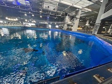 沖縄美ら海水族館（館内体験）に投稿された画像（2025/12/29）