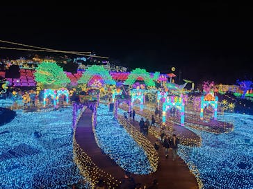 伊豆高原グランイルミに投稿された画像（2025/12/29）