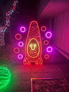 アクロス福岡イルミネーションに投稿された画像（2025/12/29）