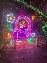 アクロス福岡イルミネーションに投稿された画像（2025/12/29）