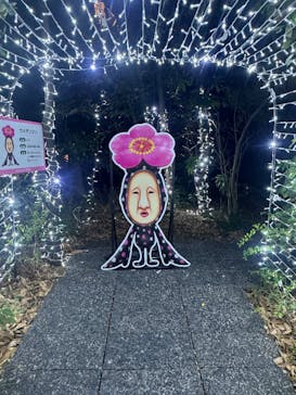 アクロス福岡イルミネーションに投稿された画像（2025/12/29）