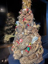 京都水族館に投稿された画像（2025/12/29）