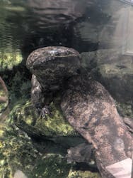 京都水族館に投稿された画像（2025/12/29）