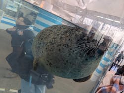 京都水族館に投稿された画像（2025/12/29）